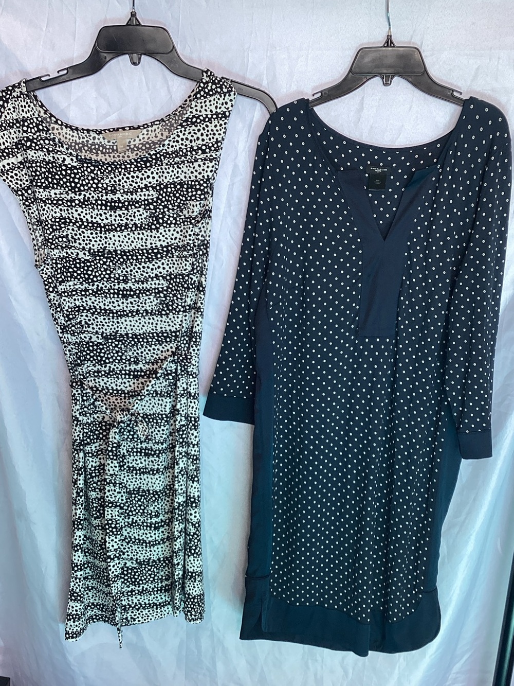 Ann Taylor dress bundle